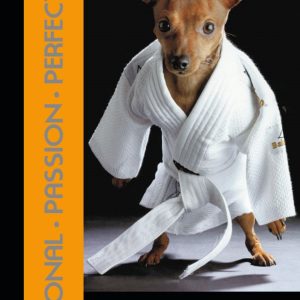 Banner Bob